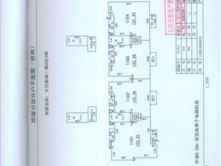 测绘报告7页