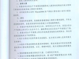 测绘报告3页
