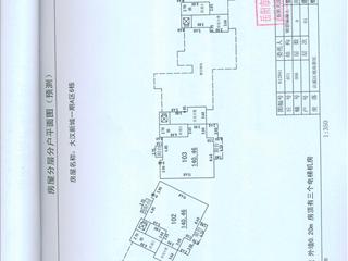 测绘报告5页