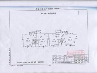 测绘报告5页