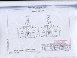 测绘报告7页