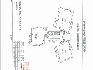 测绘报告