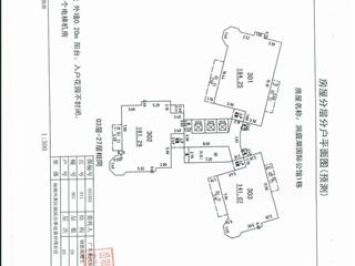 测绘报告