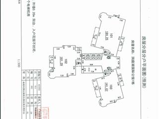 测绘报告