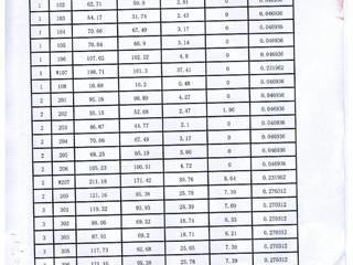 预测报告