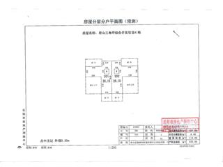 君山三角坪综合开发项目（合众·领岛）A143