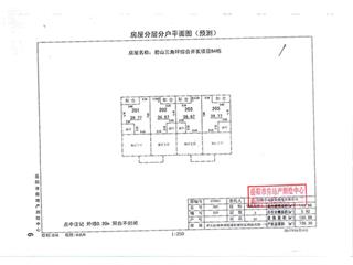 君山三角坪综合开发项目（合众·领岛）B43