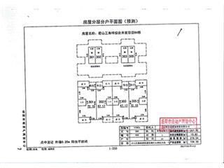 君山三角坪综合开发项目（合众·领岛）B44