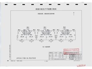 岳阳碧桂园花语岸9栋7