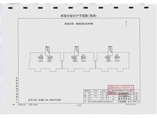 岳阳碧桂园花语岸9栋8