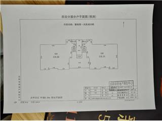 碧桂园·凤凰城碧桂园·凤凰城33栋4