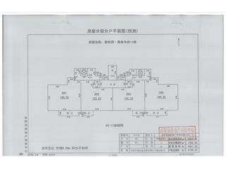 碧桂园奥体华府碧桂园·奥体华府紫熙台11栋2