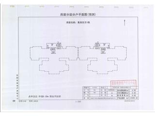 金科·集美东方1栋6