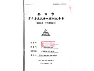 大汉新城大汉新城B区43栋9