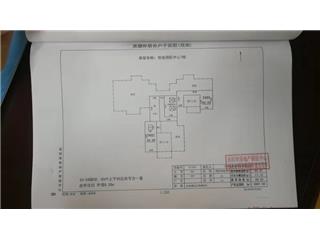 恒金国际中心7栋6