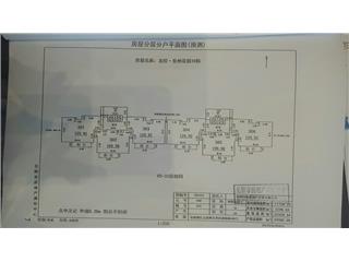 岳州花园10栋3