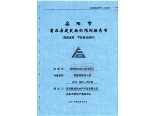 洞庭湖国际公馆H地块洞庭湖国际公馆H地块H25栋5